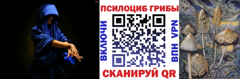 закладки  Северодвинск  Псилоцибиновые грибы MAGIC MUSHROOMS 